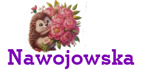 index.php?option=com_content&view=category&layout=blog&id=24&Itemid=295